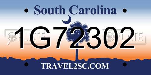 1G72302 South Carolina License Plate