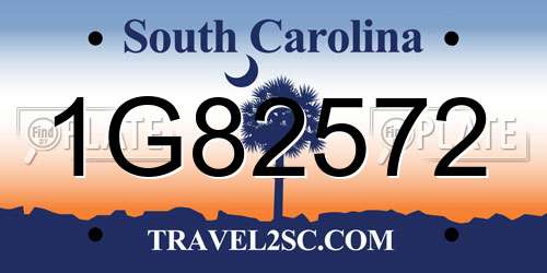 1G82572 South Carolina License Plate
