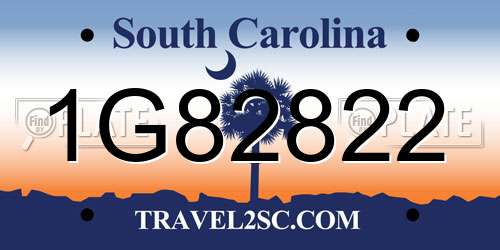 1G82822 South Carolina License Plate