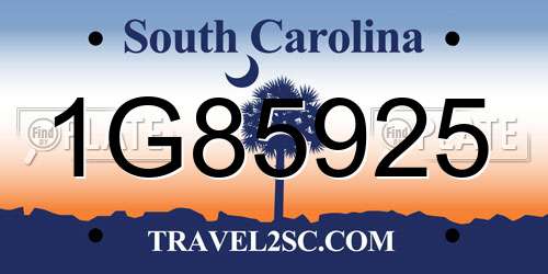 1G85925 South Carolina License Plate