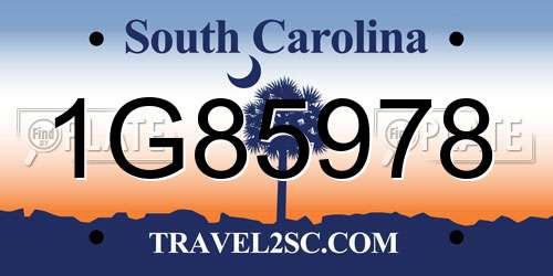 1G85978 South Carolina License Plate