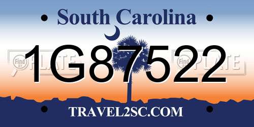 1G87522 South Carolina License Plate