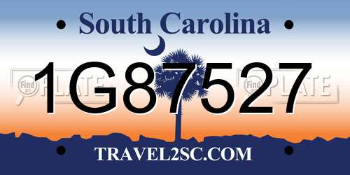 1G87527 South Carolina License Plate