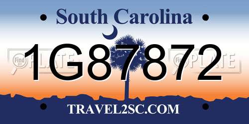 1G87872 South Carolina License Plate
