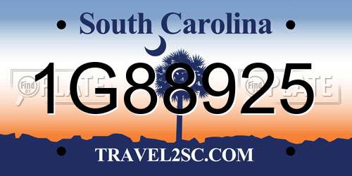 1G88925 South Carolina License Plate