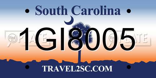 1GI8005 South Carolina License Plate