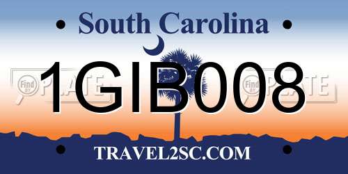 1GIB008 South Carolina License Plate