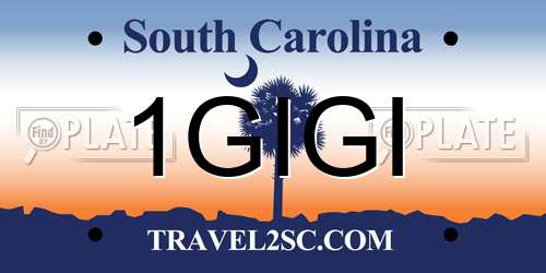 1GIGI South Carolina License Plate
