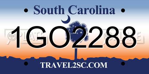 1GO2288 South Carolina License Plate