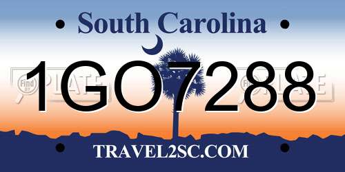 1GO7288 South Carolina License Plate