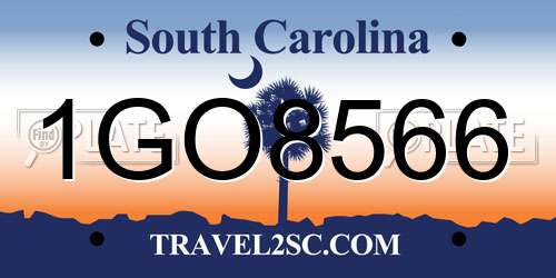 1GO8566 South Carolina License Plate