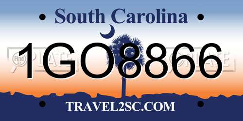 1GO8866 South Carolina License Plate