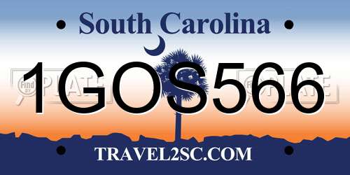1GOS566 South Carolina License Plate