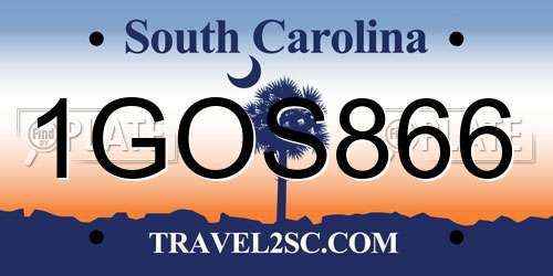1GOS866 South Carolina License Plate