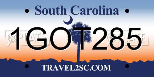 1GOT285 South Carolina License Plate