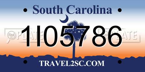 1I05786 South Carolina License Plate