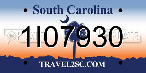 1I07930 South Carolina License Plate