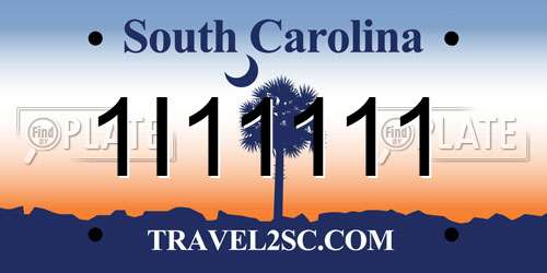 1I11111 South Carolina License Plate