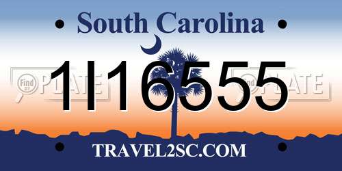 1I16555 South Carolina License Plate