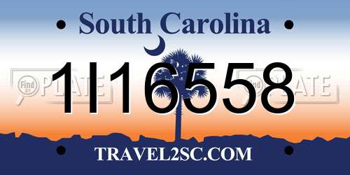 1I16558 South Carolina License Plate