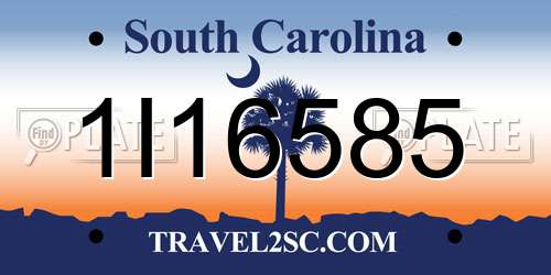 1I16585 South Carolina License Plate