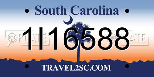 1I16588 South Carolina License Plate