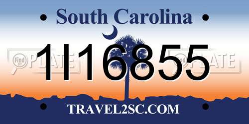 1I16855 South Carolina License Plate