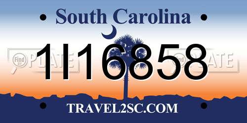 1I16858 South Carolina License Plate