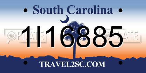 1I16885 South Carolina License Plate