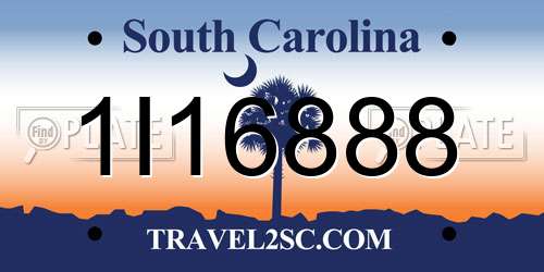 1I16888 South Carolina License Plate