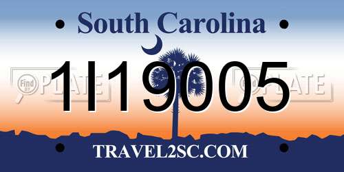 1I19005 South Carolina License Plate