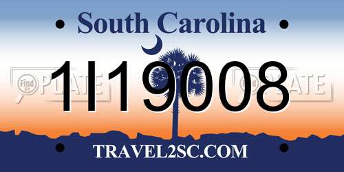1I19008 South Carolina License Plate
