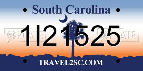 1I21525 South Carolina License Plate
