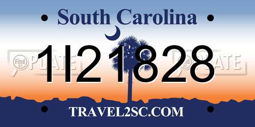 1I21828 South Carolina License Plate