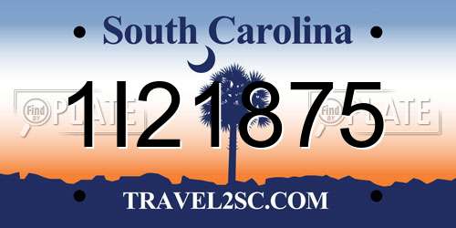 1I21875 South Carolina License Plate