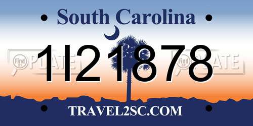 1I21878 South Carolina License Plate