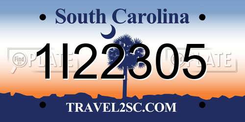 1I22305 South Carolina License Plate