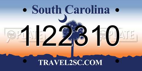 1I22310 South Carolina License Plate