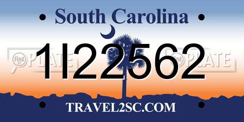 1I22562 South Carolina License Plate