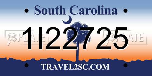 1I22725 South Carolina License Plate
