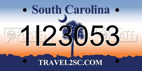 1I23053 South Carolina License Plate