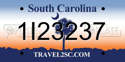 1I23237 South Carolina License Plate