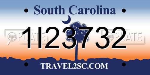 1I23732 South Carolina License Plate