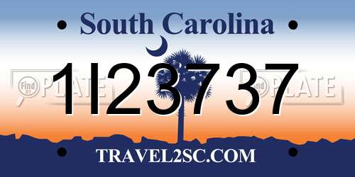 1I23737 South Carolina License Plate