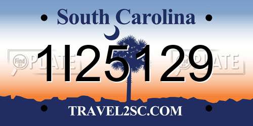 1I25129 South Carolina License Plate