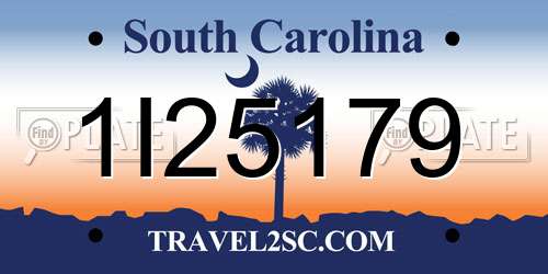 1I25179 South Carolina License Plate