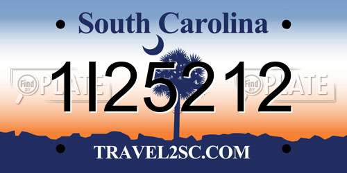1I25212 South Carolina License Plate