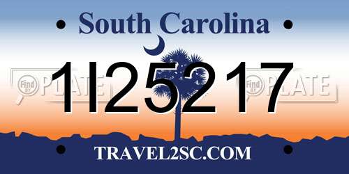 1I25217 South Carolina License Plate