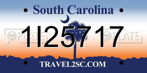 1I25717 South Carolina License Plate
