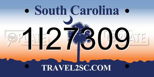 1I27309 South Carolina License Plate